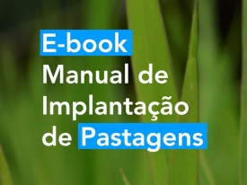 Manual de implantação de pastagens da Barenbrug disponível em E-book gratuito, com orientações detalhadas para produtores.
