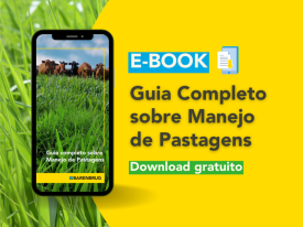 E-book gratuito da Barenbrug com orientações sobre o manejo de pastagens