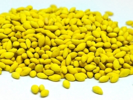 Elevar a produtividade da agricultura e pecuária é imprescindível para o desenvolvimento do mercado do agronegócio.