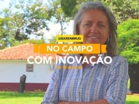 Agropecuarista Rowena Petroll atinge ótimos resultados com Brachiaria híbrida na Integração com a Soja