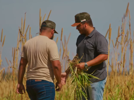 Produtor e Consultor Agropecuário do Tocantins recomenda o uso do Mix Agri da Barenbrug