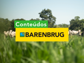 Conteúdos Barenbrug: Aprendizado e Inovação no Campo