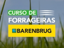 Faça o Curso de Forrageiras Barenbrug Online e Gratuito e saiba informações técnicas sobre Manejo de Pastagem, Cultivares, Estabelecimento de Pastagens e Qualidade de Sementes. Atualize-se! 