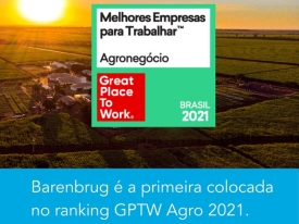 Barenbrug do Brasil é reconhecida como campeã do GPTW Agro 2021 na categoria Pequeno Porte, destacando-se pelo ambiente de trabalho inovador e colaborativo.
