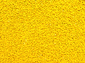 Explicação sobre a qualidade das sementes forrageiras de safras passadas e como garantir o sucesso no estabelecimento de pastagens.