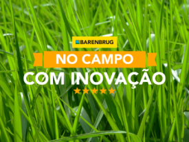 Produtores de diferentes regiões do Brasil evidenciam como soluções tecnológicas implementadas em seus negócios rurais são decisivas para atingirem o êxito produtivo e rentável. 