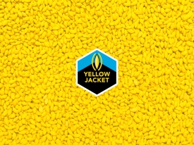 Header Site Barenbrug_Yellow Jacket