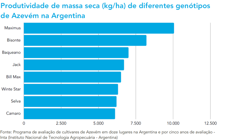Azevém Bar Maximus: alta produção com formação precoce