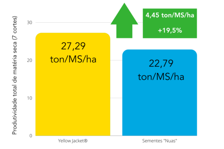 Grafico YJ