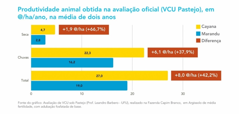 Brachiaria híbrida cv. Cayana da Barenbrug oferece maior produtividade e rentabilidade, permitindo ao produtor otimizar a produção animal em áreas menores.