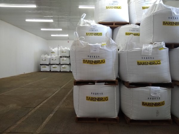 Saiba como sementes forrageiras de safras passadas podem ser usadas com segurança através de controle de qualidade e armazenamento.