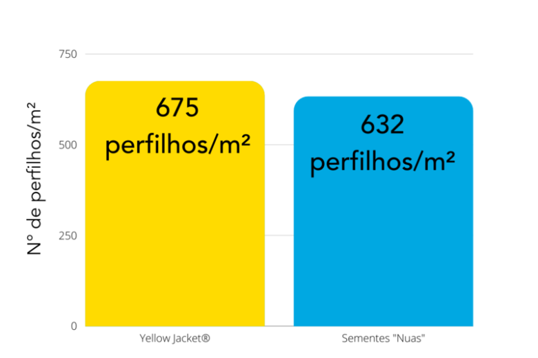 O tratamento Yellow Jacket® proporciona aumento na produtividade de matéria seca e perfilhos, melhorando o desempenho das forrageiras.
