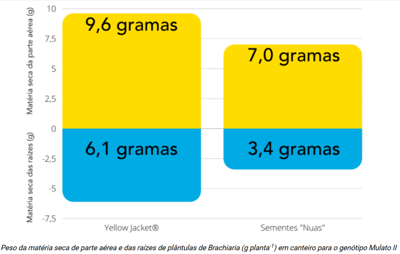 Dados do Yellow Jacket® 