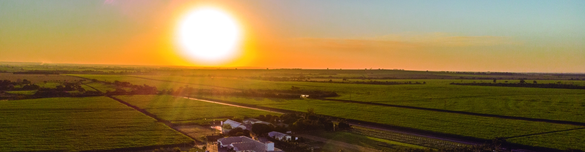 Barenbrug atinge 79,81 pontos no NPS, destacando-se pela satisfação dos clientes no agronegócio brasileiro na safra 21.22.