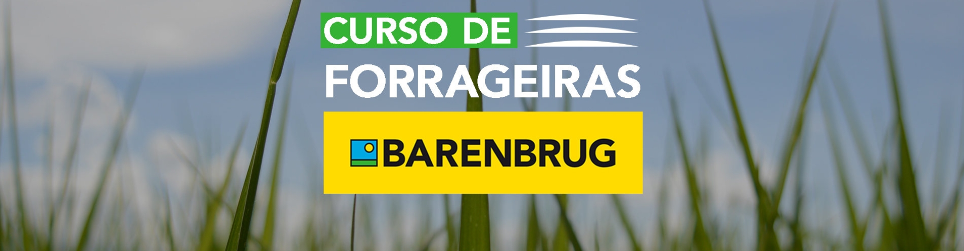 Faça o Curso de Forrageiras Barenbrug Online e Gratuito e saiba informações técnicas sobre Manejo de Pastagem, Cultivares, Estabelecimento de Pastagens e Qualidade de Sementes. Atualize-se! 