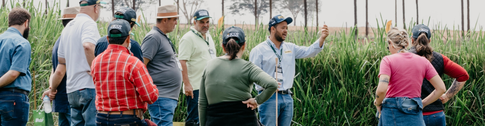Produtores visitam Unidade de Produção e Inovação da Barenbrug durante o Dia de Campo do Encontro de Intensificação de Pastagens.