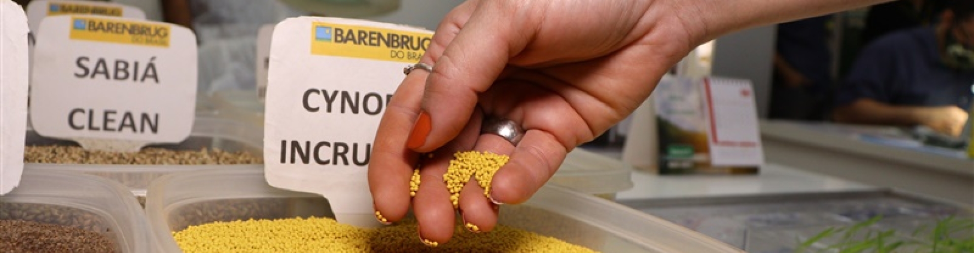 Laboratório de análise de sementes da Barenbrug do Brasil certificado com excelência máxima pelo MAPA, garantindo resultados confiáveis.