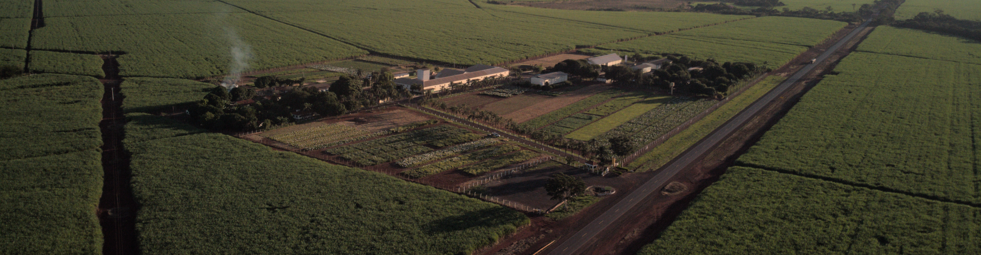 Pesquisa-expedição Confina Brasil visita a Barenbrug do Brasil para conhecer o desenvolvimento de cultivares forrageiros e a produção de sementes.