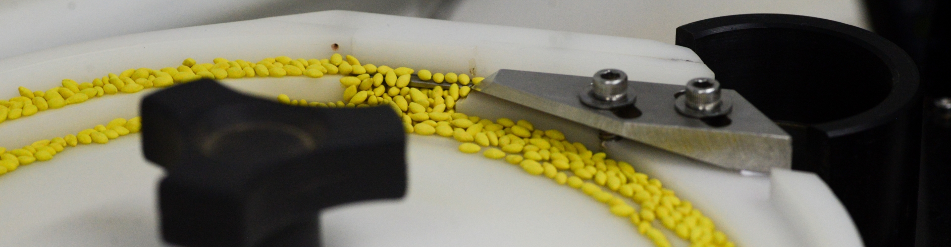 omparação entre sementes nuas e tratadas em testes de germinação revela resultados semelhantes com tecnologia Yellow Jacket®.