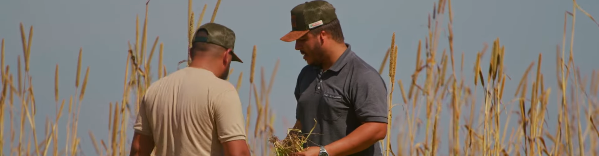 Produtor e Consultor Agropecuário do Tocantins recomenda o uso do Mix Agri da Barenbrug
