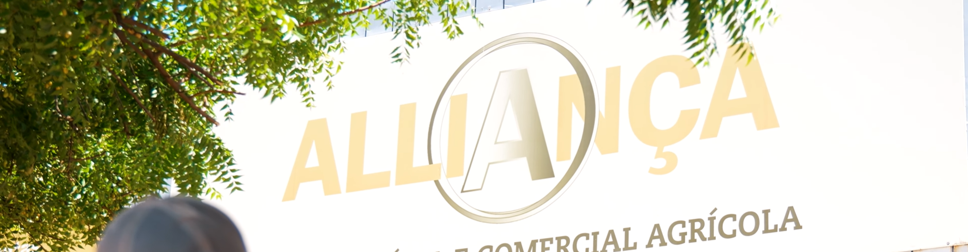 Alliança Agropecuária leva Inovação ao Campo com Parceria de Sucesso com a Barenbrug
