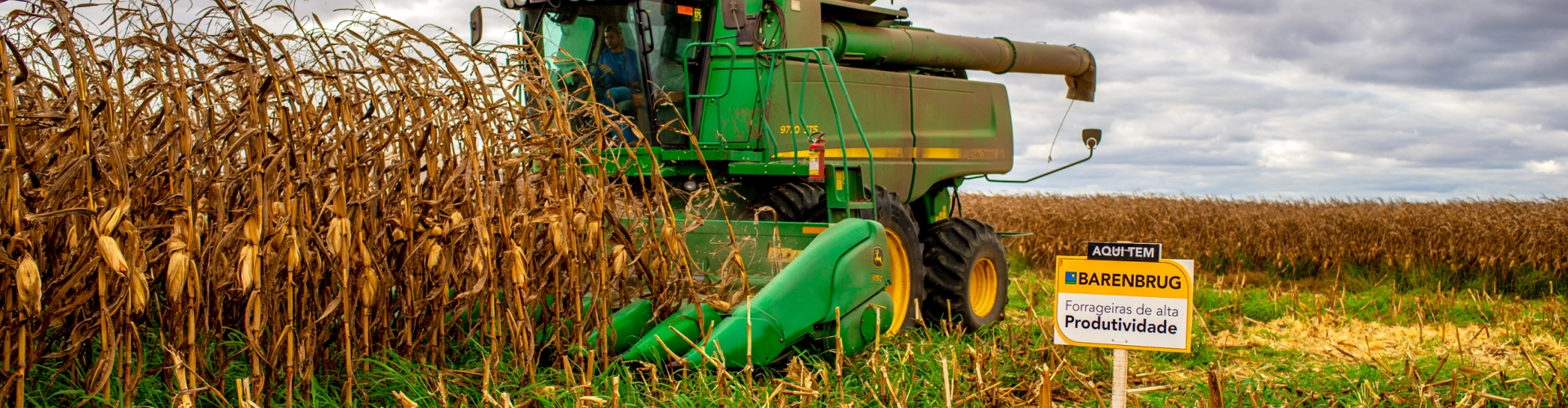 Curso online gratuito sobre Integração Lavoura-Pecuária oferecido pela Barenbrug, com foco em otimizar a produção agrícola e pecuária.
