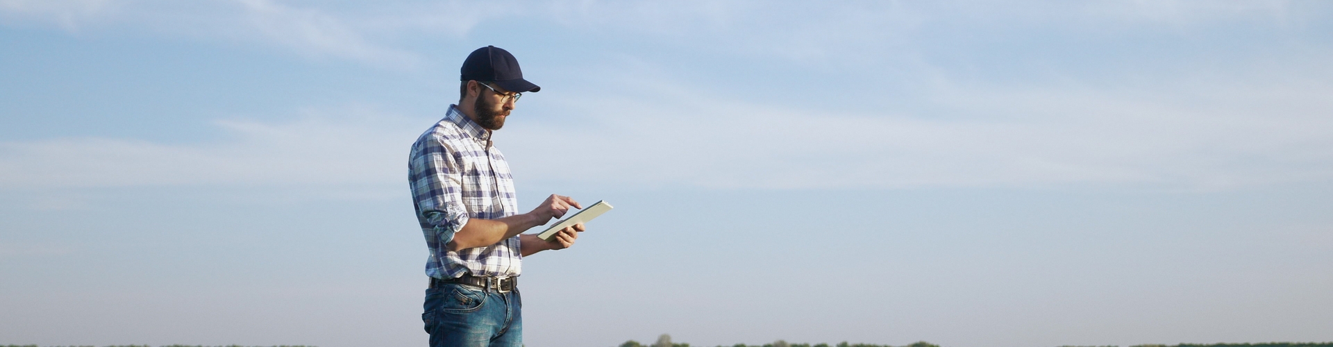 Saiba qual a melhor época para comprar sementes e realizar o plantio. Planejamento rural eficiente garante maior produtividade e rentabilidade.