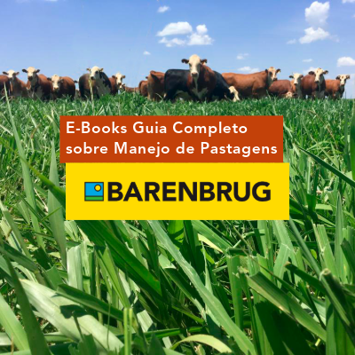 O departamento de Desenvolvimento Tecnológico da Barenbrug do Brasil preparou o E-book "Guia Completo sobre Manejo de Pastagens" com recomendações e estratégias para ajudar a aumentar a produtividade e lucratividade da atividade agropecuária. Descubra técnicas e dicas para melhorar sua performance no campo.