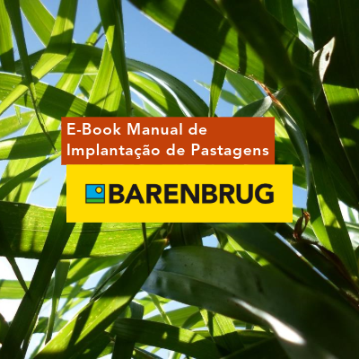 E-book Barenbrug: Manual de Implantação de Pastagens