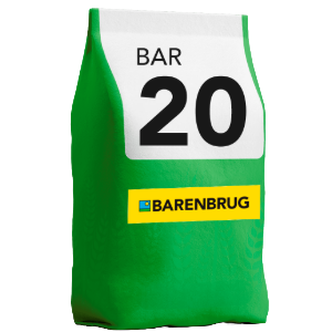 Cultivar de Trigo BAR 20: a melhor escolha para alta performance na agricultura