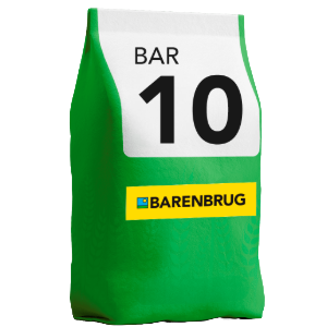 Cultivar de Trigo BAR 10: superprecoce com versatilidade e rendimento