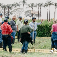 Produtores visitam Unidade de Produção e Inovação da Barenbrug durante o Dia de Campo do Encontro de Intensificação de Pastagens.