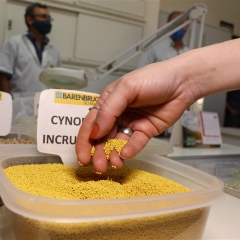 Laboratório de análise de sementes da Barenbrug do Brasil certificado com excelência máxima pelo MAPA, garantindo resultados confiáveis.