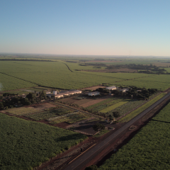 Pesquisa-expedição Confina Brasil visita a Barenbrug do Brasil para conhecer o desenvolvimento de cultivares forrageiros e a produção de sementes.