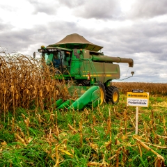 Curso online gratuito sobre Integração Lavoura-Pecuária oferecido pela Barenbrug, com foco em otimizar a produção agrícola e pecuária.