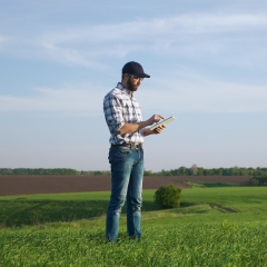 Saiba qual a melhor época para comprar sementes e realizar o plantio. Planejamento rural eficiente garante maior produtividade e rentabilidade.